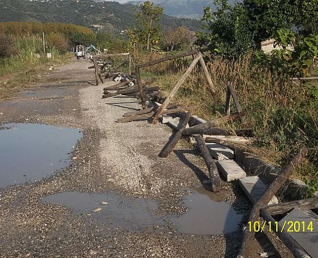 11112014 art abbate 01