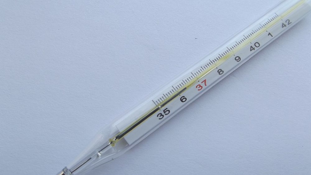 11112016 termometro febbre