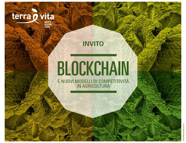 11112019 blockchain agricoltura