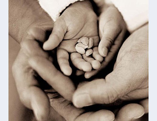 11122012 aiuti alle famiglie