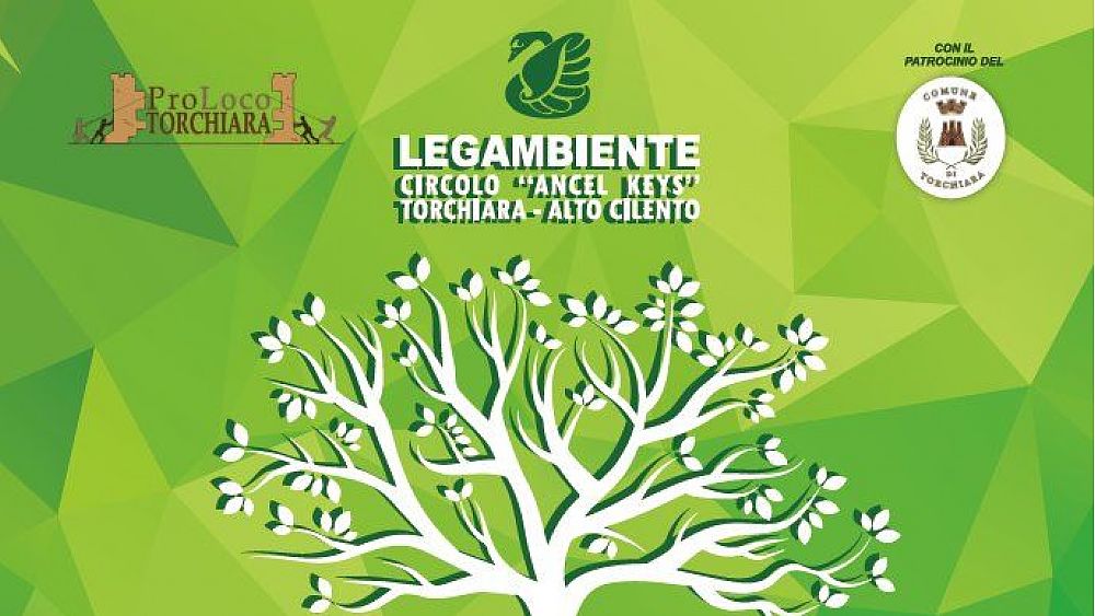 11122017 festa dell albero torchiara