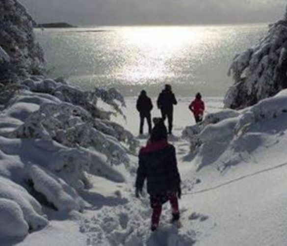 Paolo-Abbate foto - 12012017 freddo e gelo