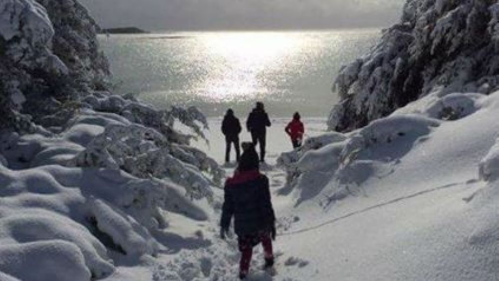 12012017 freddo e gelo 12012017 freddo e gelo