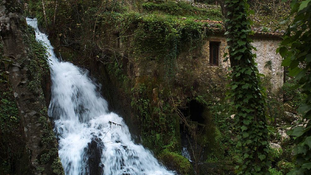 12012018 oasi morigerati