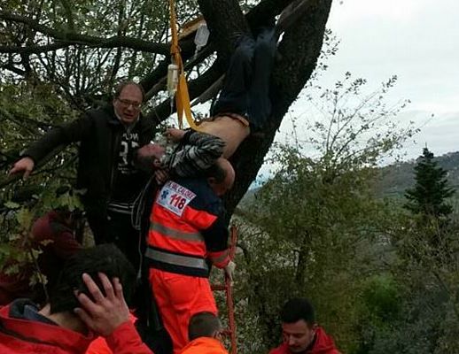 12022016 uomo albero testa giu