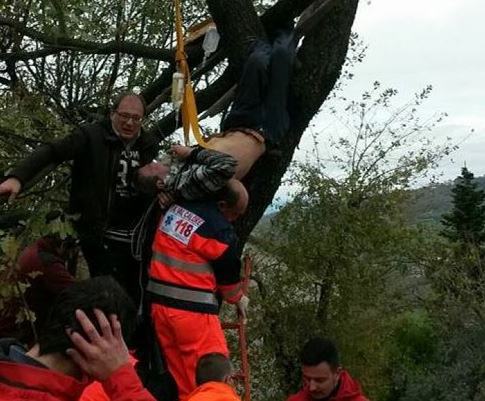 12022016 uomo albero testa giu