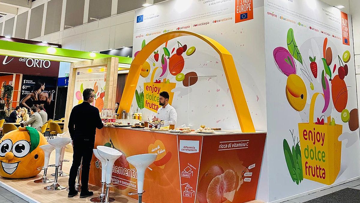 12022025 enjoy logistica 12022025 enjoy logistica