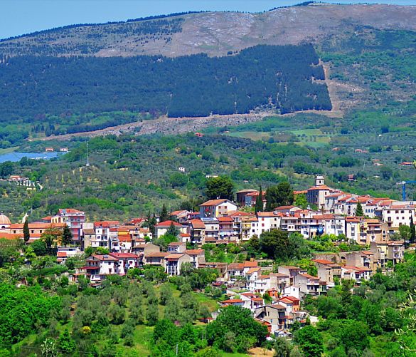 12032019 auletta