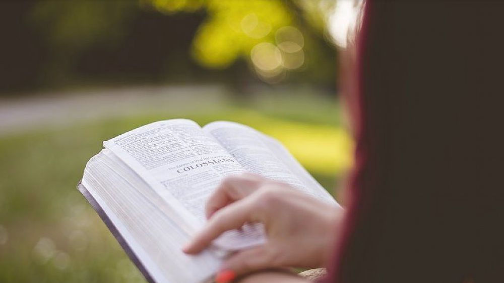 12032020 lettura libro