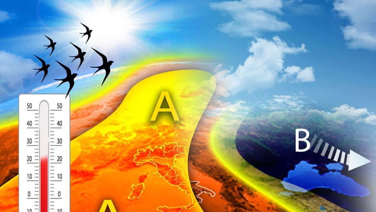 12032024 in arrivo la primavera 12032024 in arrivo la primavera