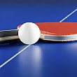 Sport foto - 12042013 Ping Pong Ball