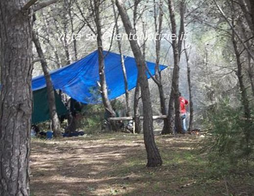 12042014 c stampa fare verde