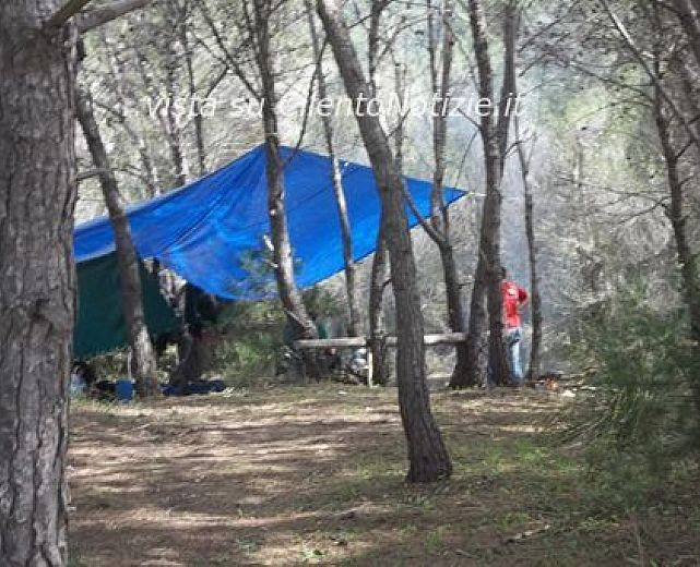 12042014 c stampa fare verde