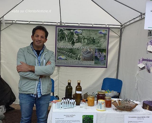 12042014 lavanda di sanza