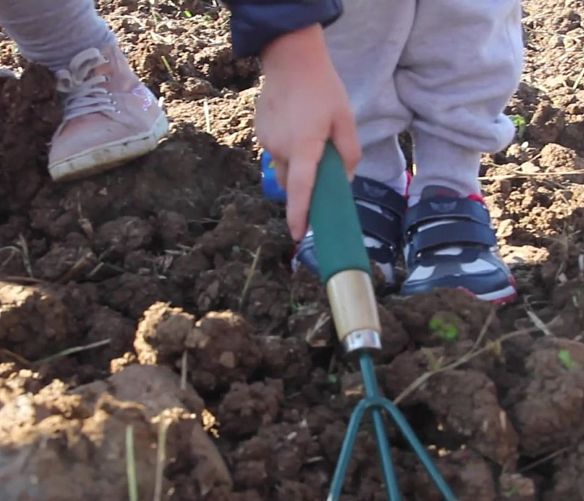 12042016 comincia dal campo