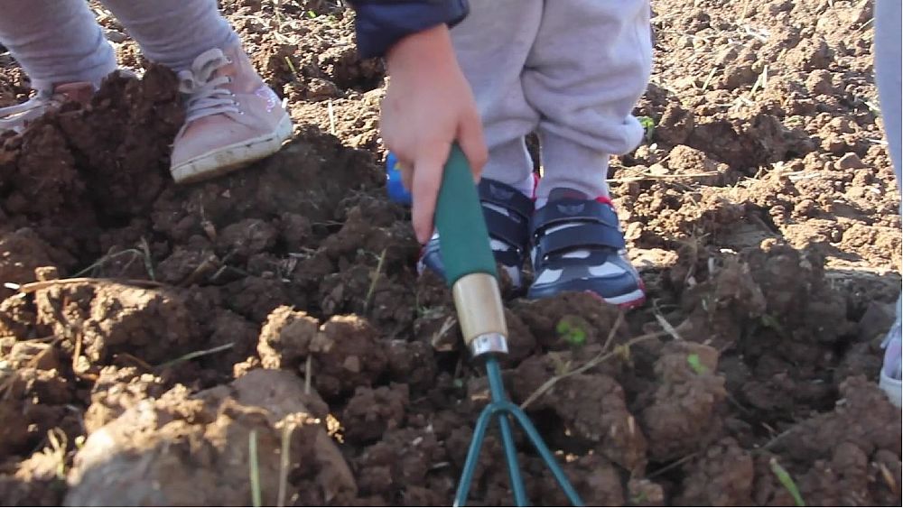 12042016 comincia dal campo