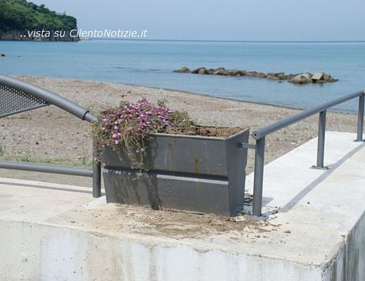 12052014 piante danneggiate agropoli