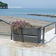 Agropoli Notizie foto - 12052014 piante danneggiate agropoli