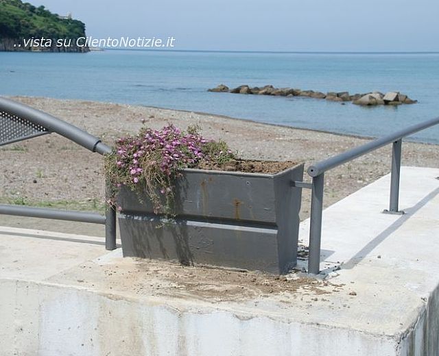 12052014 piante danneggiate agropoli