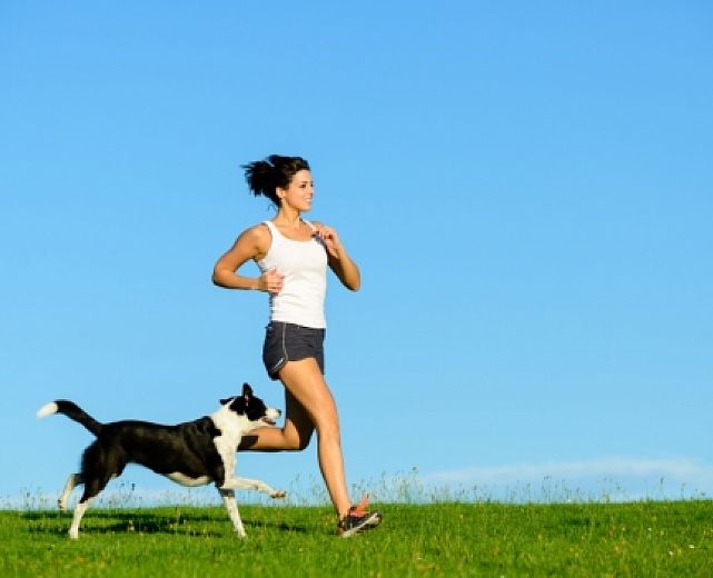 12052015 corsa a 6 zampe