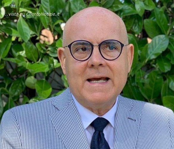 12052021 luigi snichelotto   presidente assomime