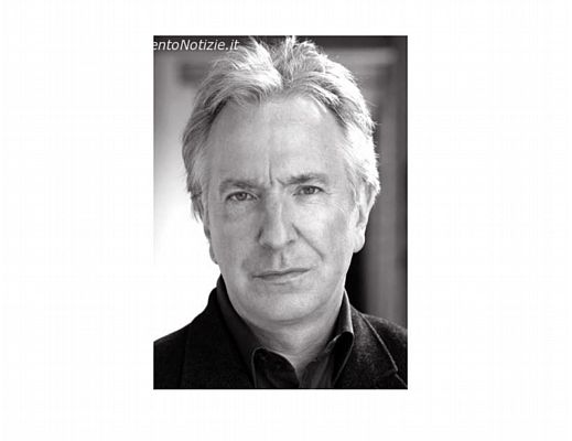 12062014 alan richman