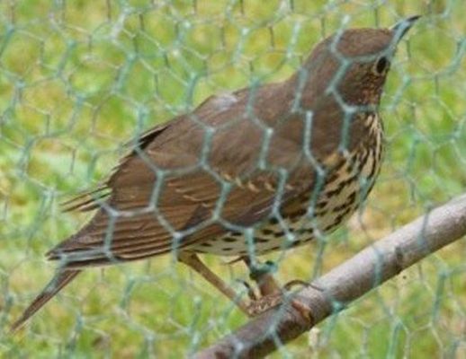 Paolo-Abbate foto - 12062014 articolo abbate 01