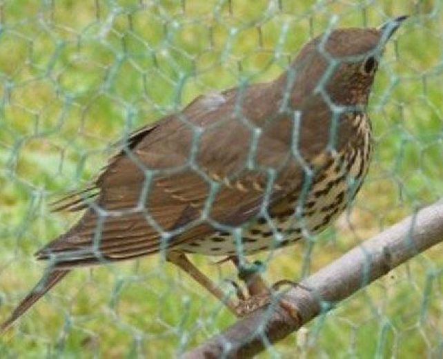 12062014 articolo abbate 01