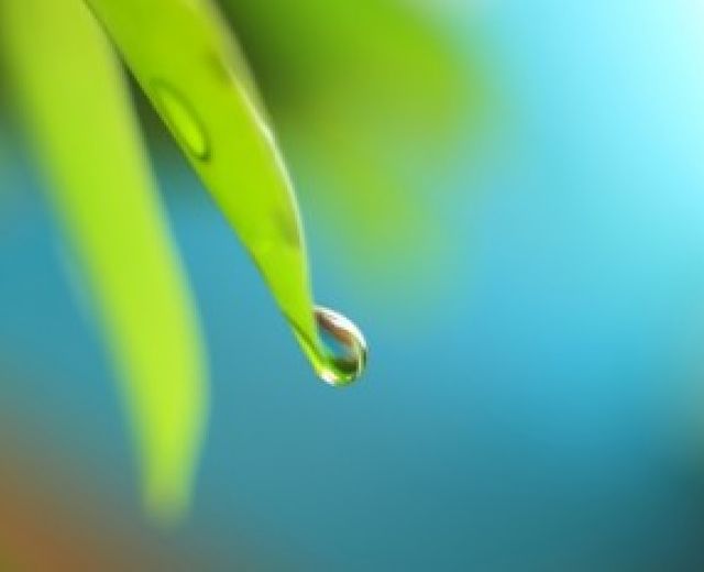 12062014 incontinenza urinaria