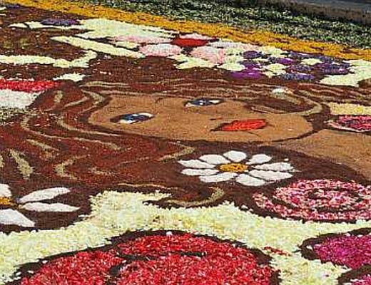 12062014 infiorata ogliara