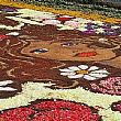Spettacoli-eventi foto - 12062014 infiorata ogliara