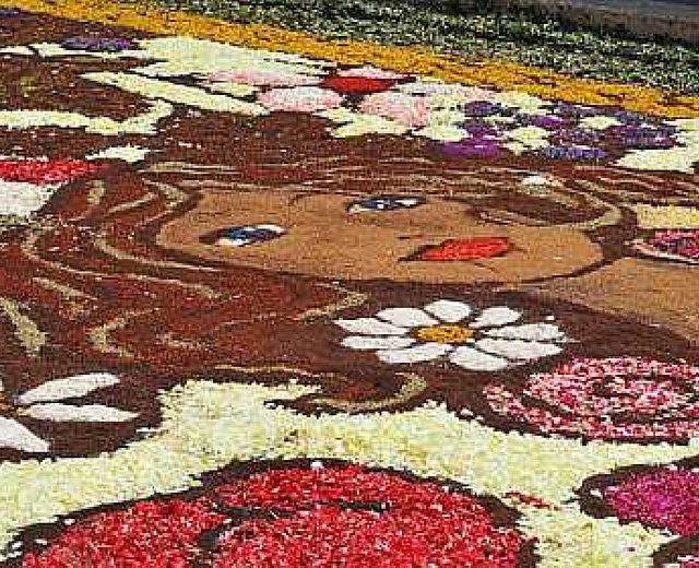 12062014 infiorata ogliara