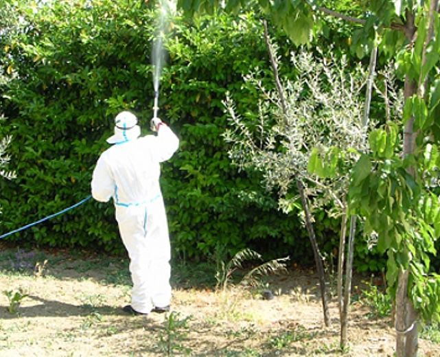 12062015 disinfestazione