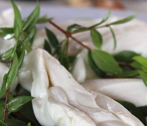 12062017 mozzarella mortella