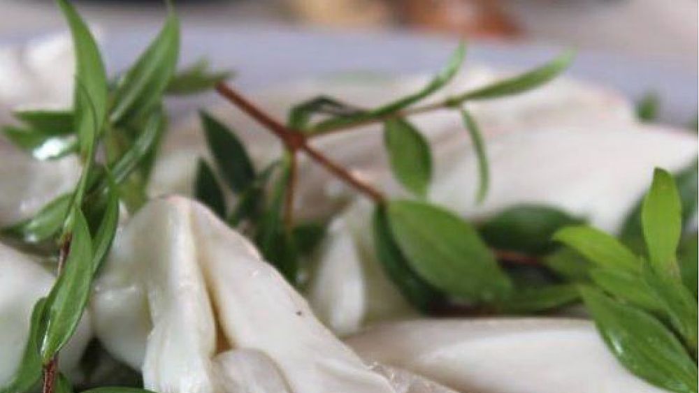 12062017 mozzarella mortella