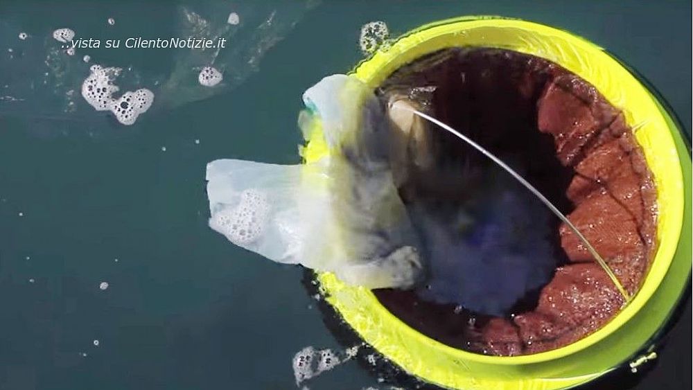 12062022 seabin salerno 12062022 seabin salerno