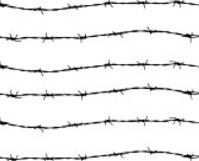 12072014 filo spinato 12072014 filo spinato