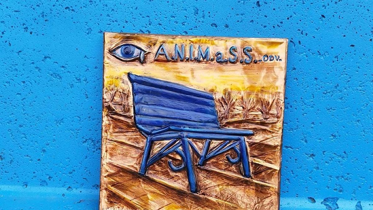 12072024 foto generica animass panchina 12072024 foto generica animass panchina