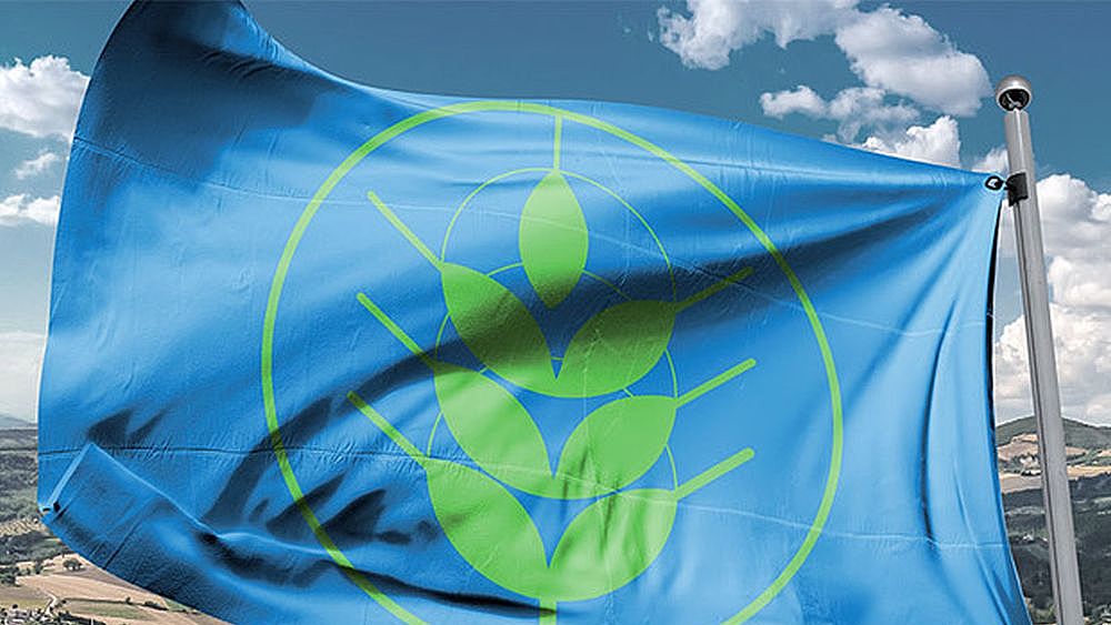 12082017 bandiera spiga verde