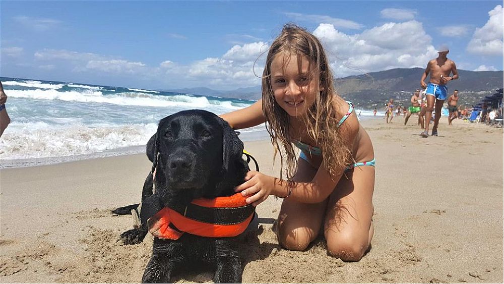 12082017 salvata da cane bagnino 12082017 salvata da cane bagnino