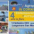 Spettacoli-eventi foto - 12092014 agropoli arte in fiore