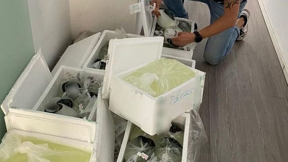 12092022 sequestro mozzarelle dop 12092022 sequestro mozzarelle dop