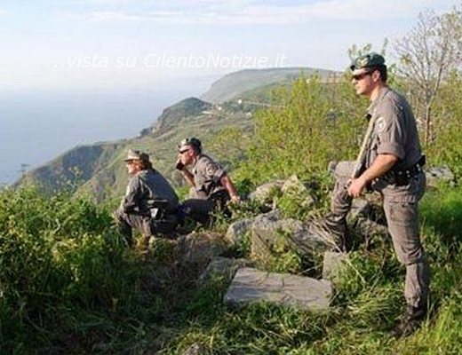 12102012 CFS antibracconaggio