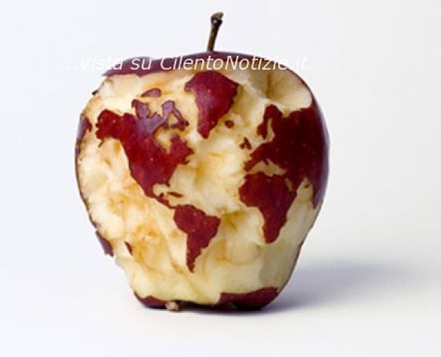 12102013 il mondo su una mela