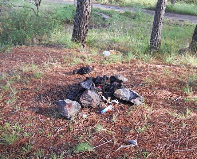 12102015 giornata ecologica vibonati