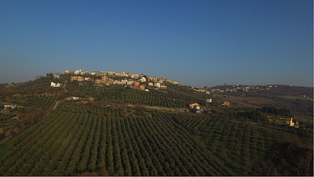 12102017 uliveto campano