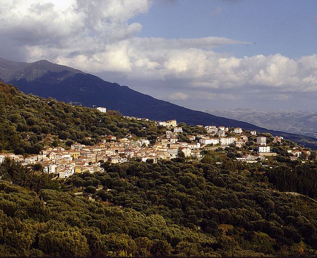 12112015 comune laurito