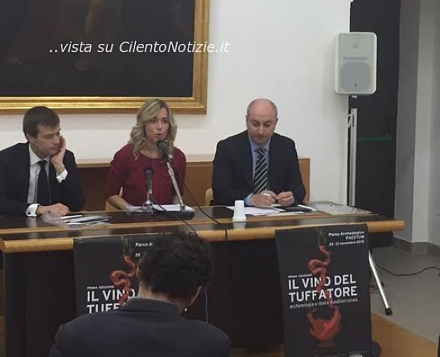 12112015 vino del tuffatore cstampa