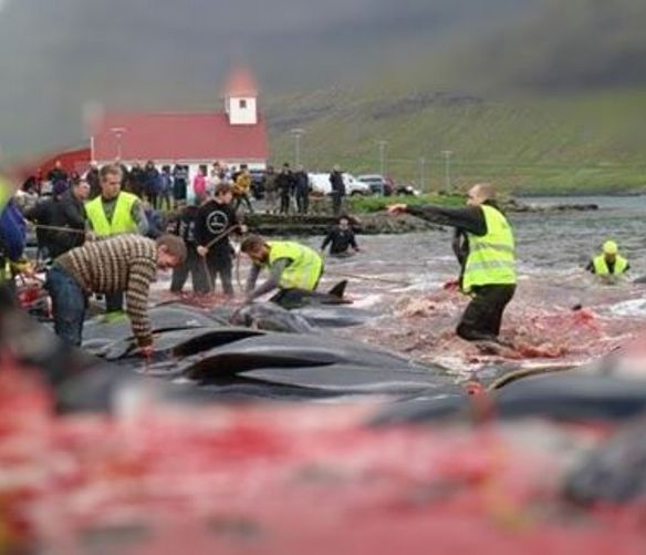 Paolo-Abbate foto - 12112017 art abbate 01