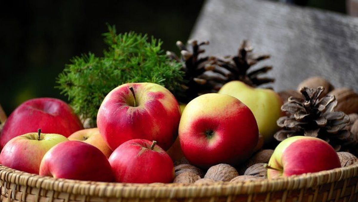 12122023 cesto natalizio 12122023 cesto natalizio